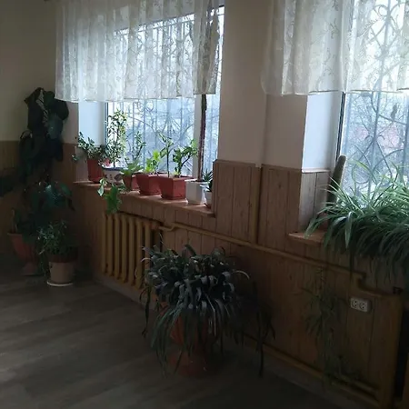 Mnogoborets F. Klub Vandrarhem Odessa