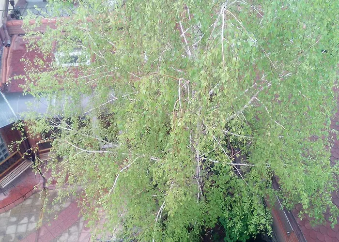 Hostel Mnogoborets F. Klub Odessa