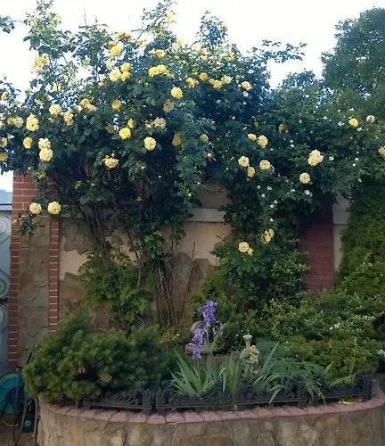 Mnogoborets F. Klub * Odesa