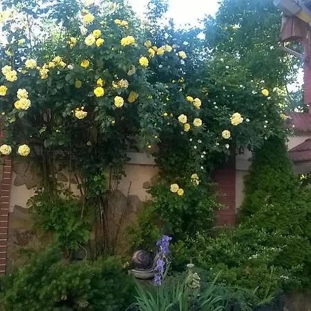 Auberge de jeunesse Mnogoborets F. Klub *