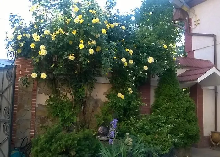 Auberge de jeunesse Mnogoborets F. Klub *