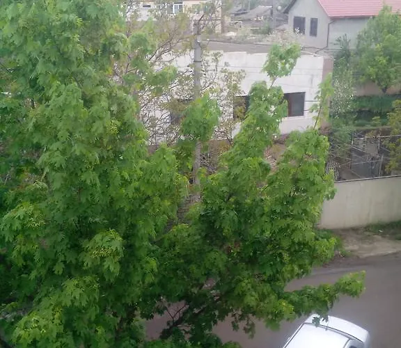 Mnogoborets F. Klub *